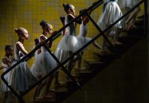 Megnyílt a World Press Photo kiállítás a Biodómban