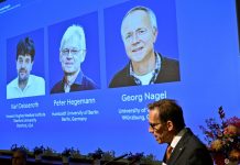 Nobel-díj – Karl Deisseroth, Peter Hegemann és Georg Nagel kapja idén az orvosi-élettani Nobel-díjat